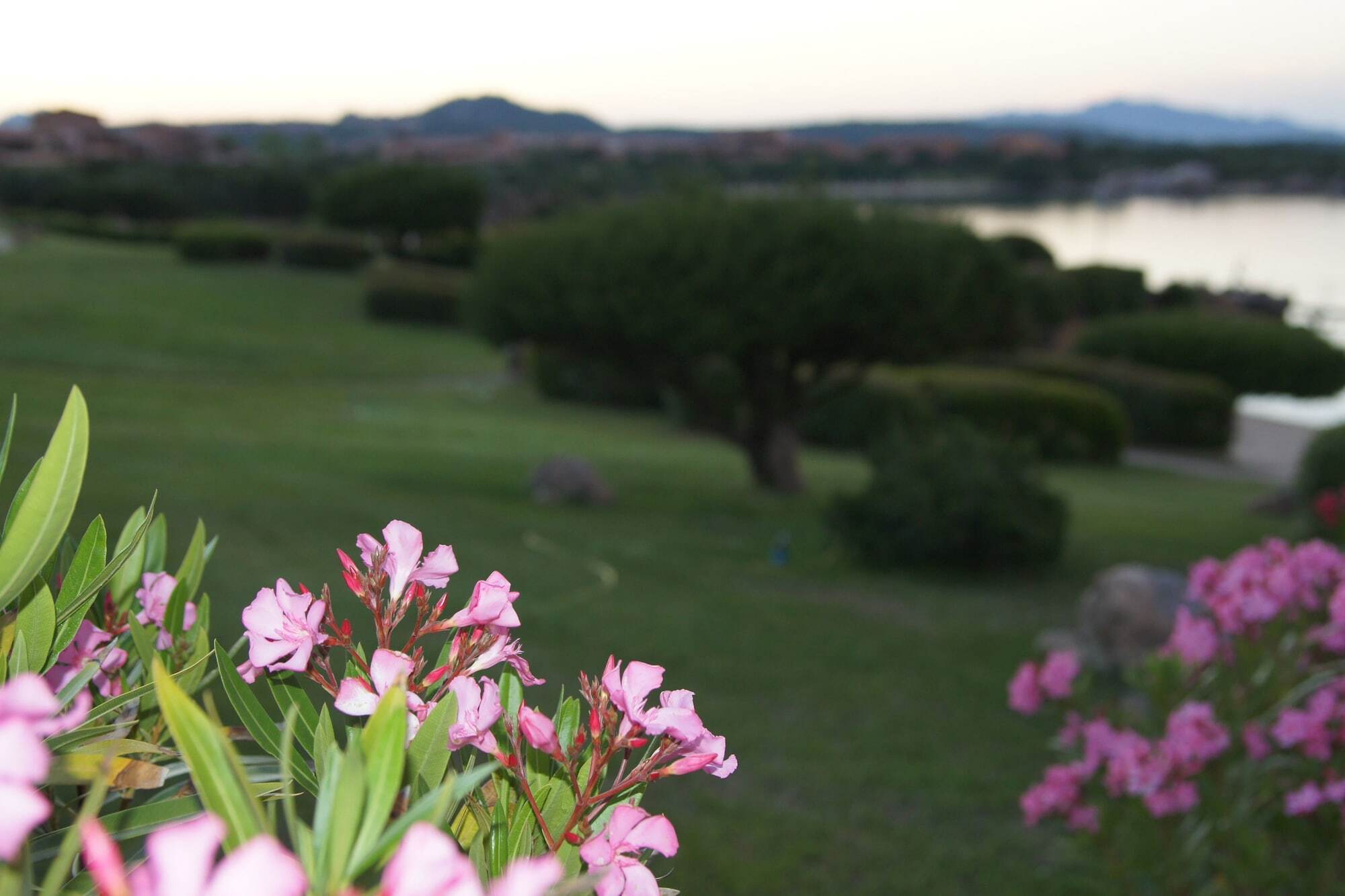 Residence Marineledda & Vela Blu Golfo Aranci Exterior foto